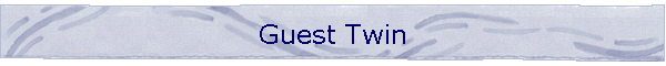 Guest Twin