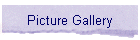 Picture Gallery