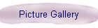 Picture Gallery