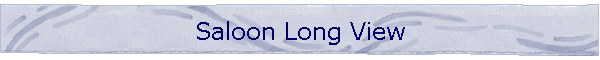 Saloon Long View